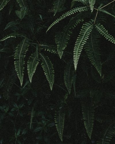 michael-petrila-o_-gToPk62c-unsplash